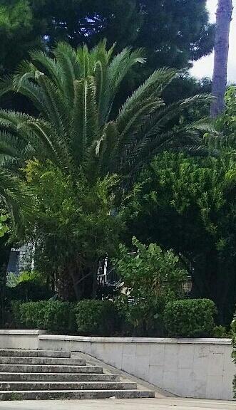 White Bear Budva Exterior foto
